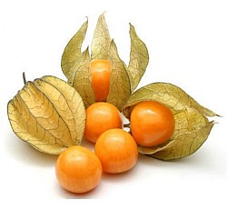 Cape Gooseberry (Golden Berry)